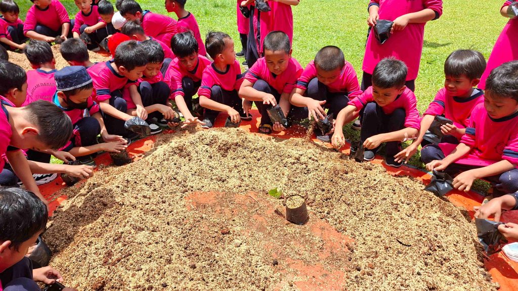 Tiket Masuk Perorangan